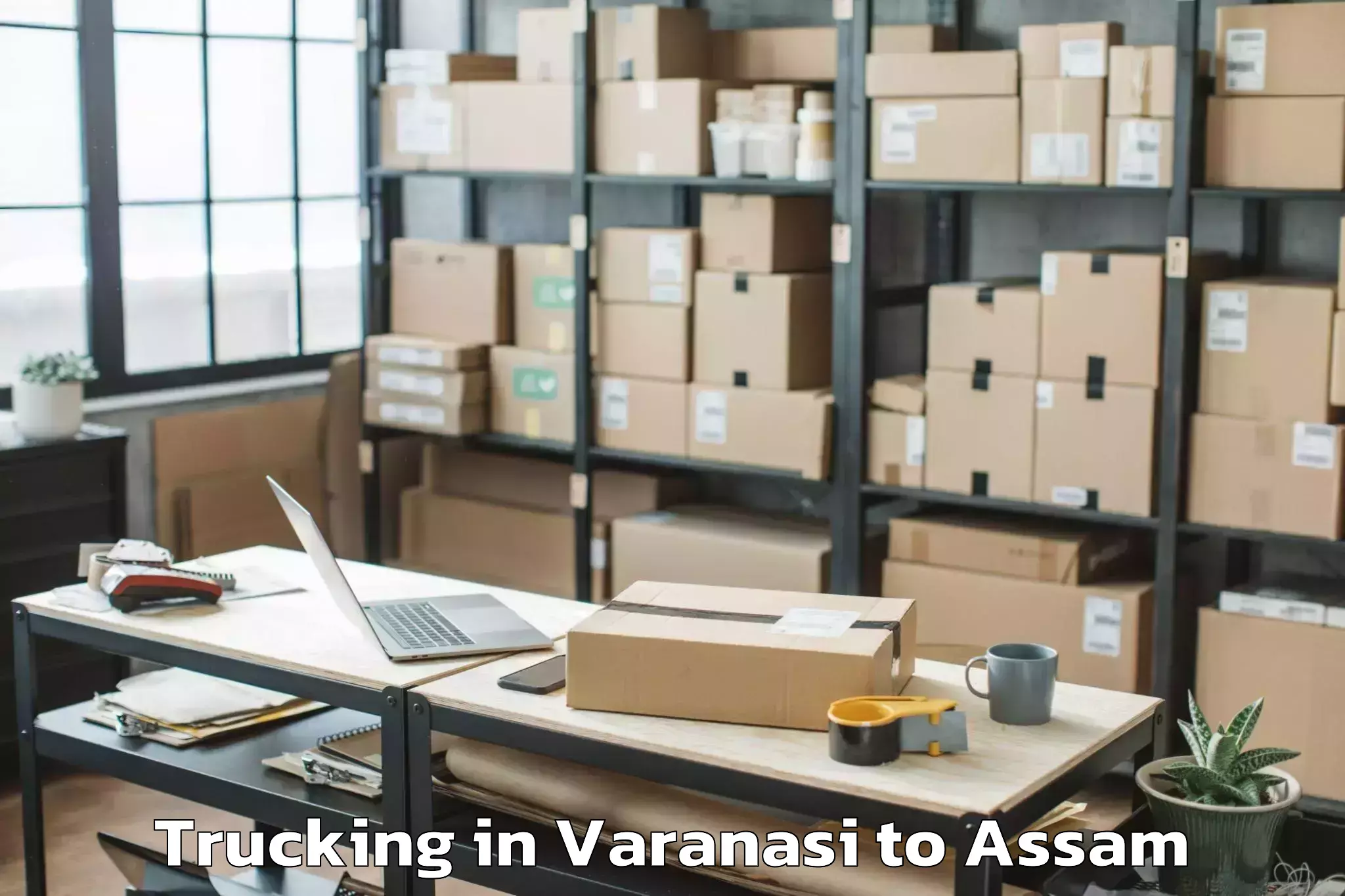 Book Varanasi to Umrangso Trucking Online